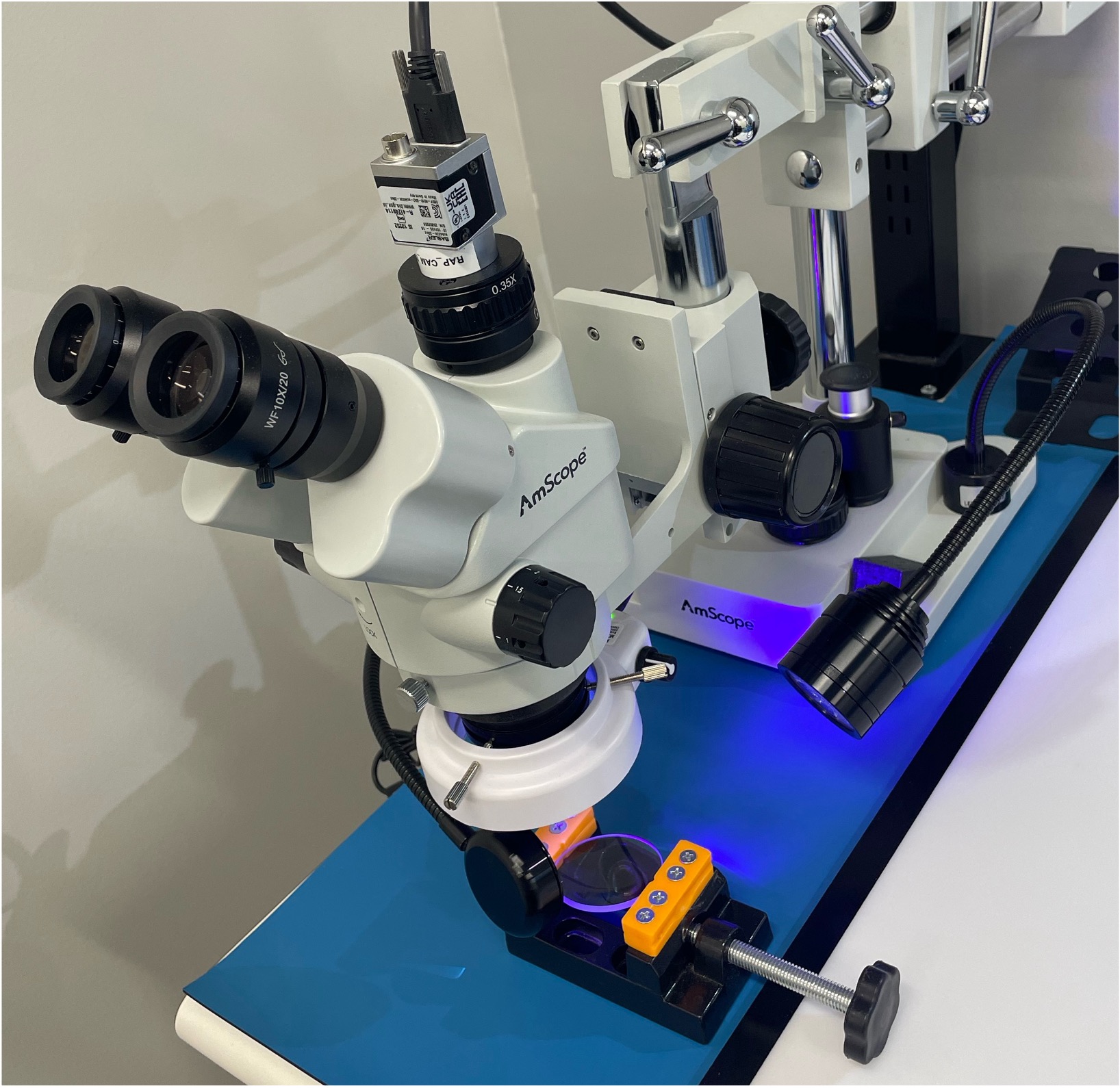 UV black light FOD inspection of optical lens
